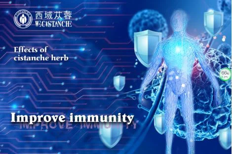 improve immunity cistanche extract