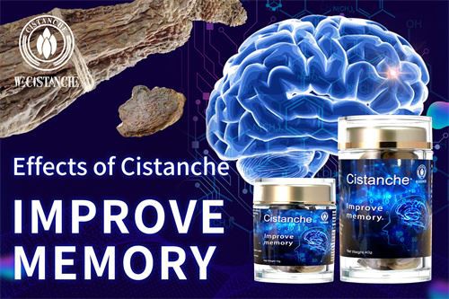 Cistanche improve memory and prevent Alzheimer's