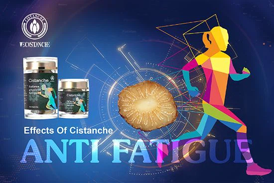 Cistanche Product