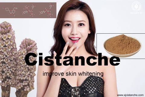 cistanche -whitening effect9