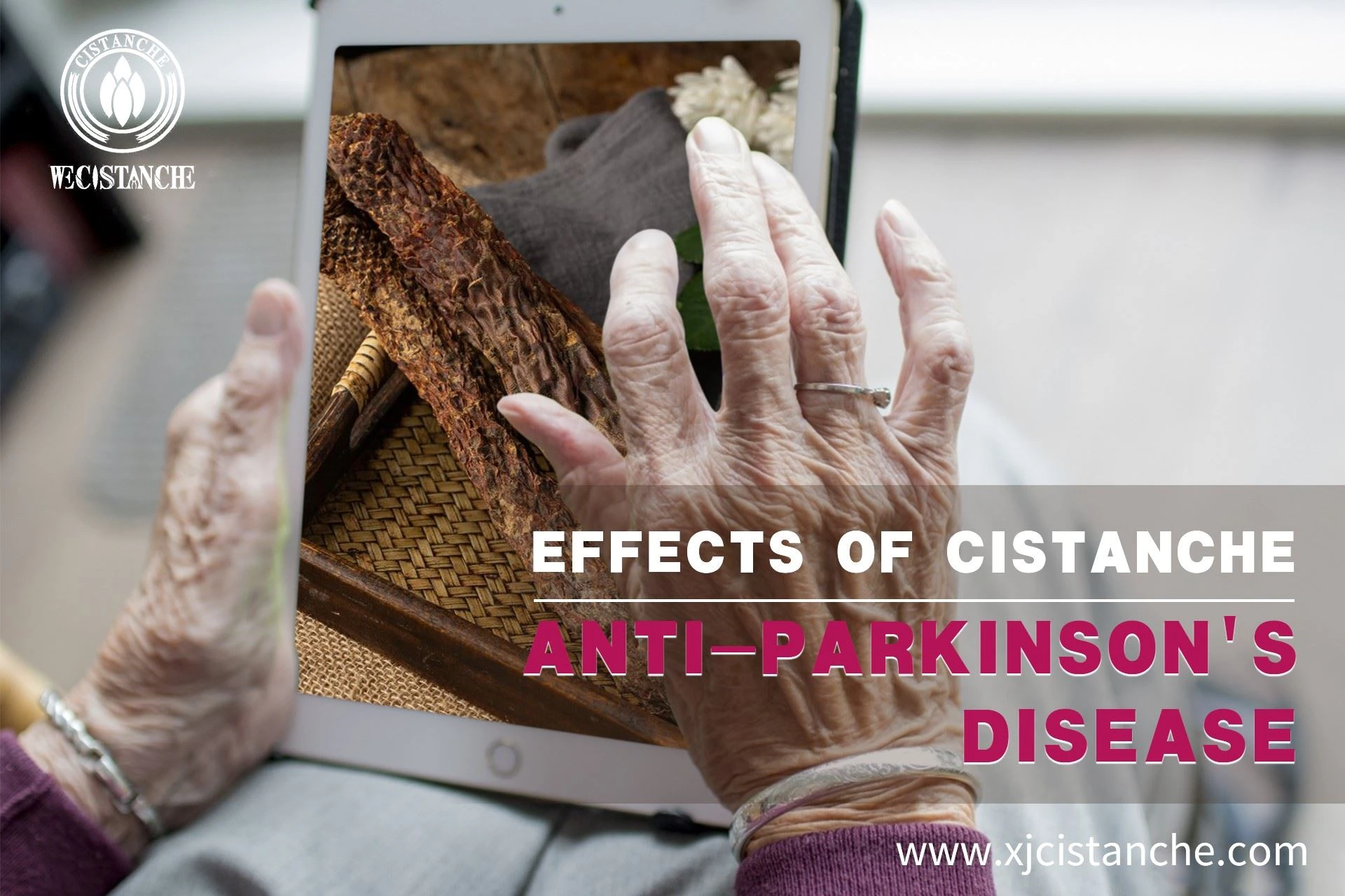 anti parkinson's disease Cistanche