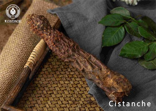 Cistanche is a valuable Chinese herbal medicine that can be used in many fields Cistanche is a valuable Chinese herbal medicine that can be used in many fields