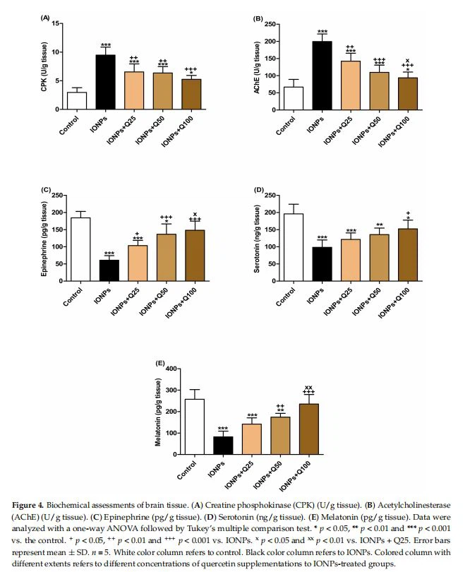 Biochemical assessments of brain tissue. (A) Creatine phosphokinase (CPK) (U/g tissue). (B) Acetylcholinesterase (AChE) (U/g tissue). (C) Epinephrine (pg/g tissue). (D) Serotonin (ng/g tissue). (E) Melatonin (pg/g tissue). Data were analyzed with a one-way ANOVA followed by Tukey's multiple comparison test. * p < 0.05, ** p < 0.01 and *** p < 0.001 vs. the control. + p < 0.05, ++ p < 0.01 and +++ p < 0.001 vs. IONPs. x p < 0.05 and xx p < 0.01 vs. IONPs + Q25. Error bars represent mean ± SD. n = 5. White color column refers to control. Black color column refers to IONPs. Colored column with different extents refers to different concentrations of quercetin supplementations to IONPs-treated groups.