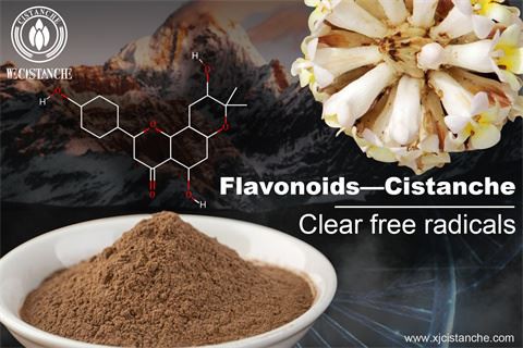 benefit of cistanche extract benefit of cistanche extract