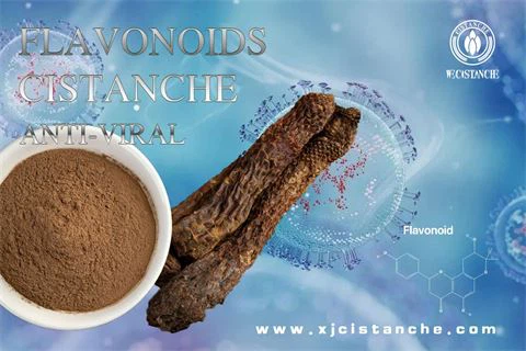 9flavonoids anti viral
