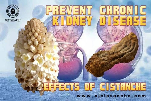 prevent ckd prevent ckd