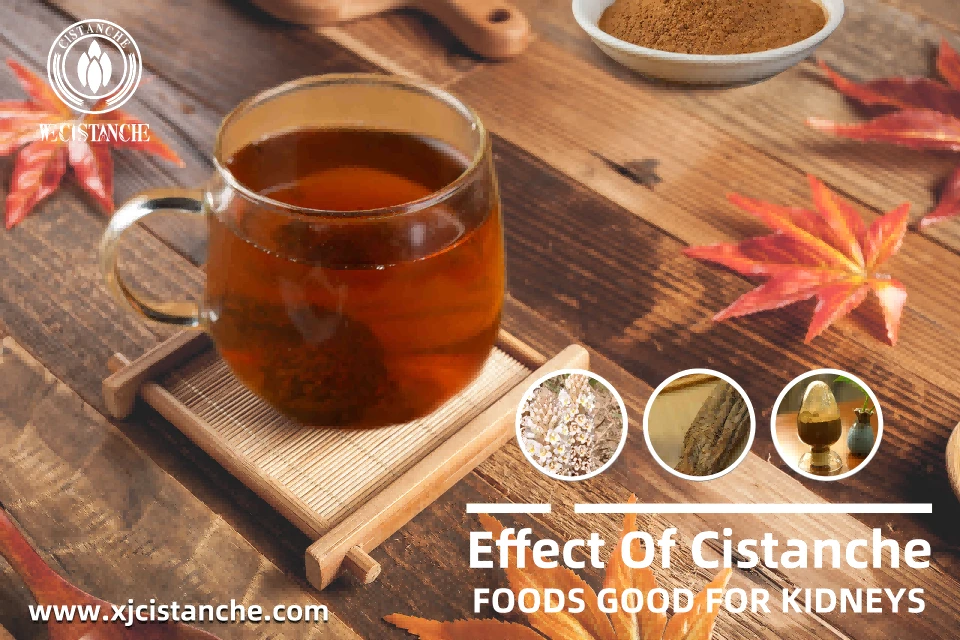 foods good for kidneys