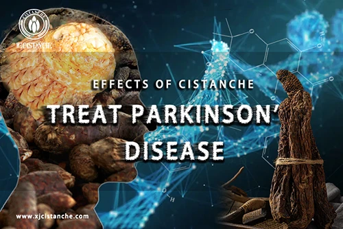 benefits of cistanche tubulosa