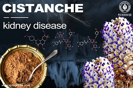 cistanche-kidney disease-2(50)