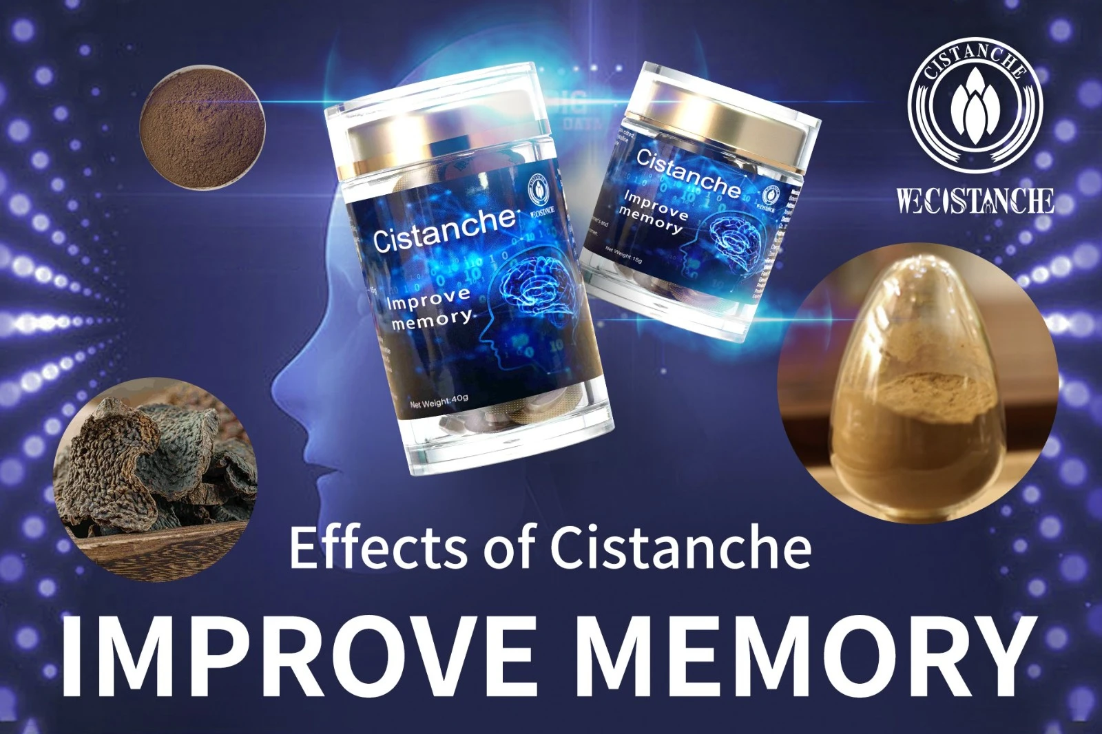 cistanche tubulosa extract