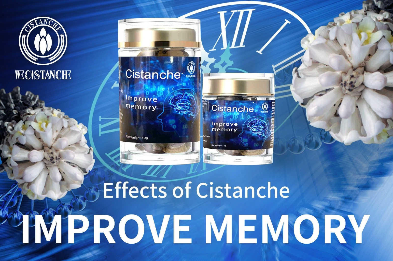 organic cistanche