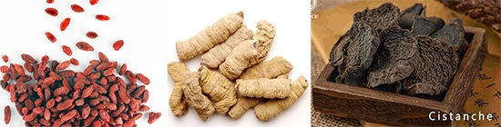 Chinese medicinal materials such as cistanche Chinese medicinal materials such as cistanche