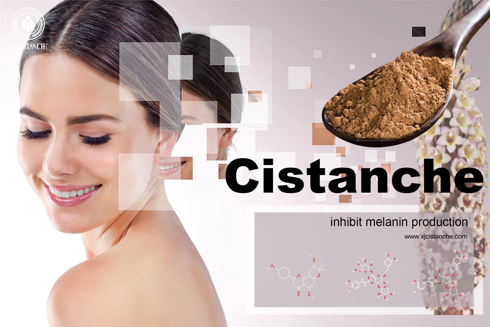 cistanches herba cistanches herba