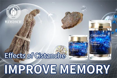 Cistanche benefits