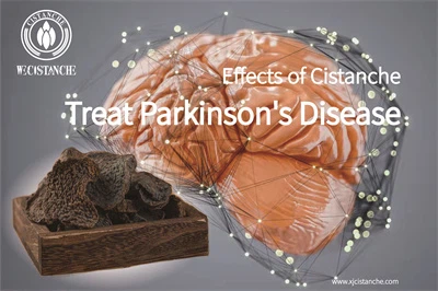 Cistanche benefits Cistanche benefits