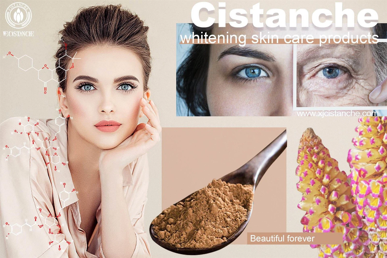 cistanche nedir