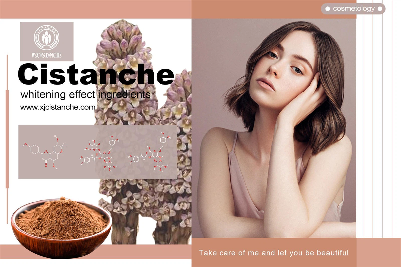 does cistanche work