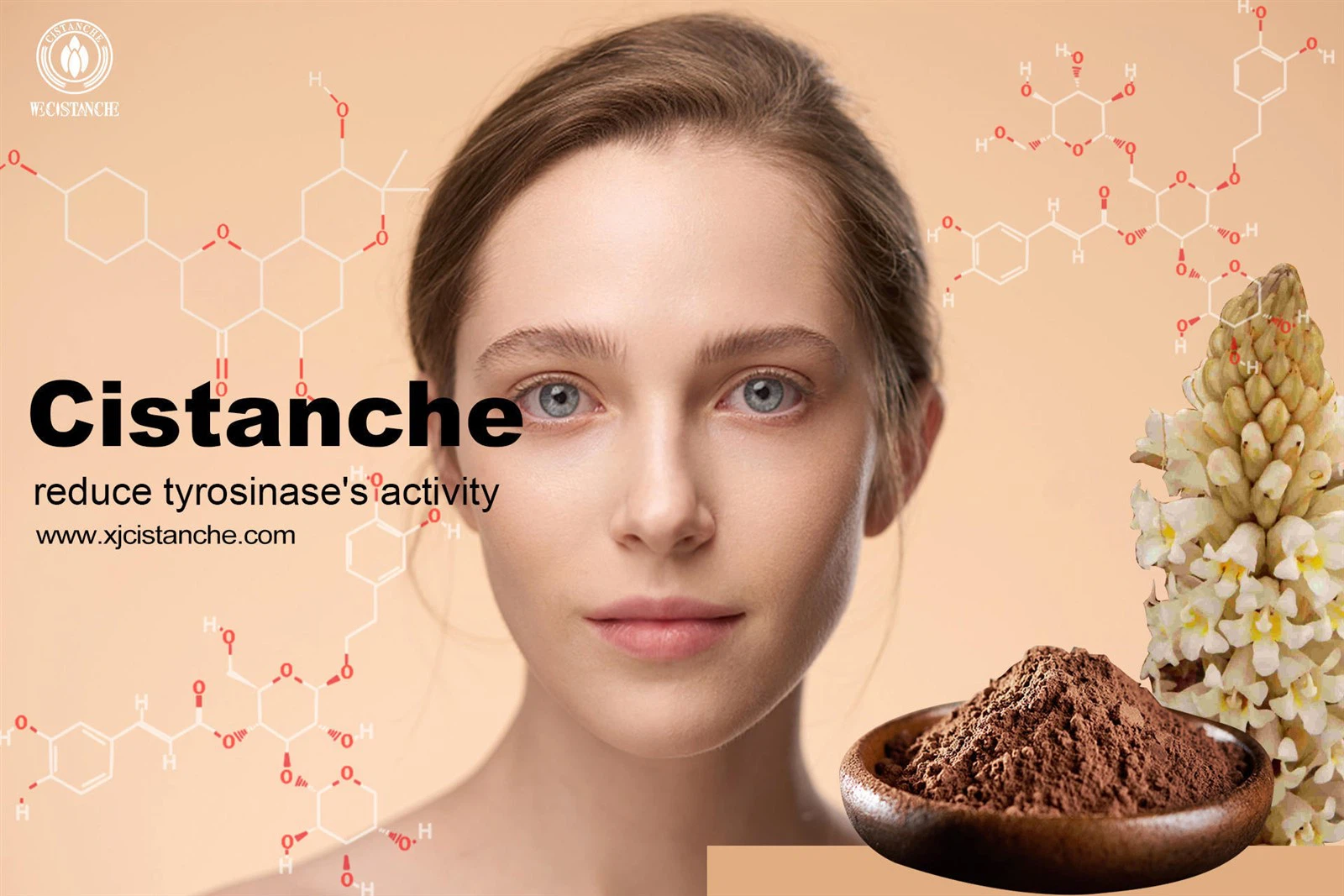 cistanche gnc
