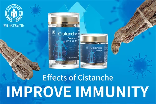 cistanche effects