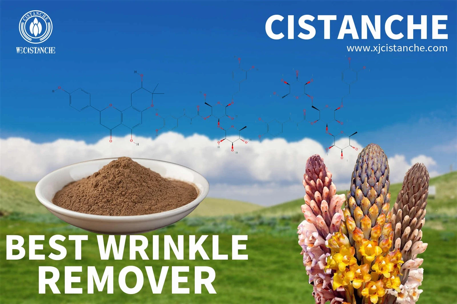 maca ginseng cistanche maca ginseng cistanche
