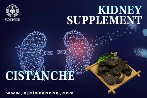 echinacoside echinacoside