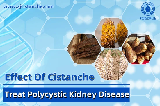 25% ECHINACOSIDE 9% ACTOESIDE CISTANCHE