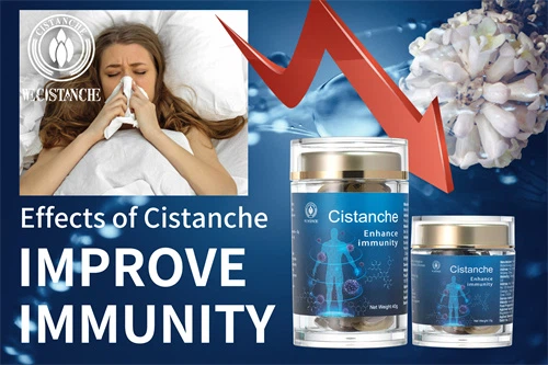 Desert ginseng—Improve immunity (8)