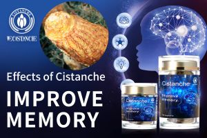 increase brain power