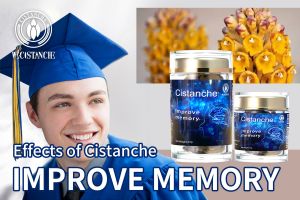 supplements to improve memory