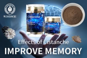 improve brain