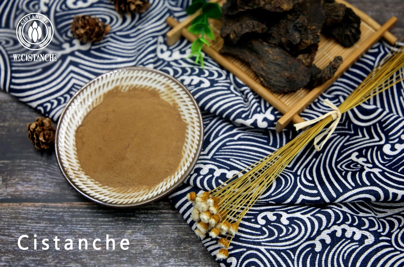 cistanche tubulosa extract for skincare