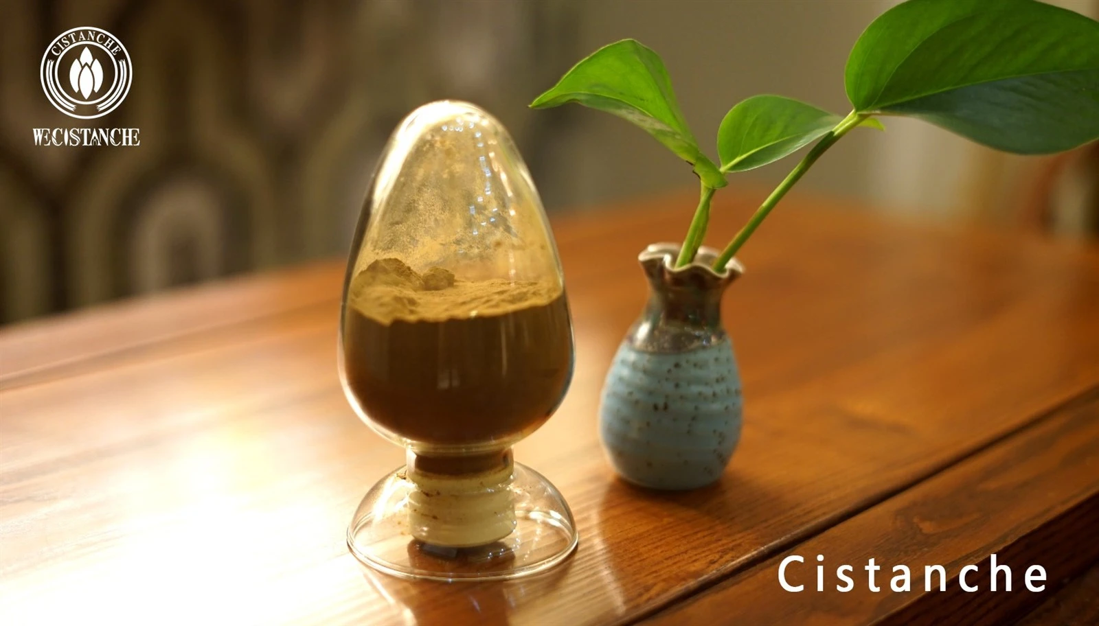 cistanche tubulosa extract for skincare