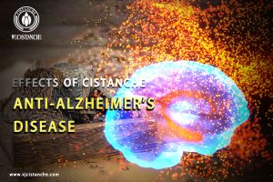 supplements to improve memory supplements to improve memory