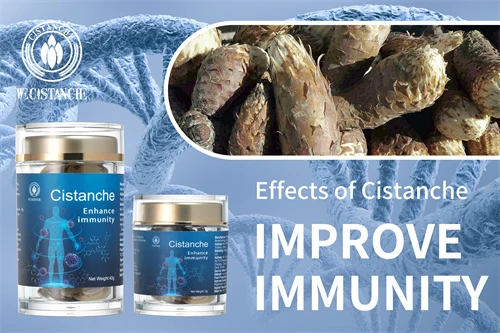 Cistanche tubulosa for improving immunity Cistanche tubulosa for improving immunity