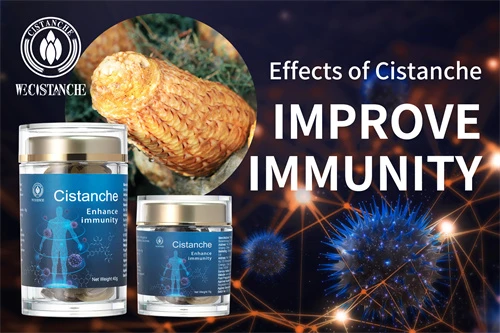 Cistanche tubulosa for improving immunity Cistanche tubulosa for improving immunity