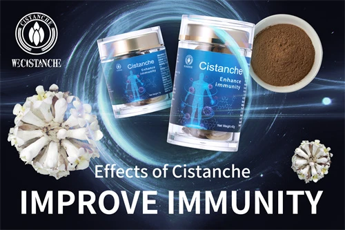 Cistanche tubulosa for improving immunity Cistanche tubulosa for improving immunity
