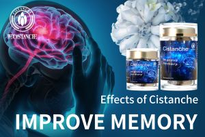 memory enhancement