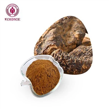 Cistanche Deserticola Extract