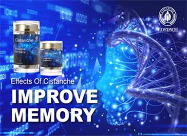 Cistanche Supplements Txhim Kho Kev Nco thiab tiv thaiv kab mob Parkinson