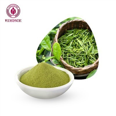 Ntsuab tshuaj yej Extract