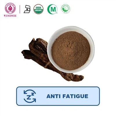 Anti Fatigue Cistanche